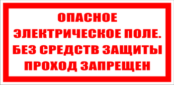 S13 опасное электрическое поле. без средств защиты проход запрещен (пленка, 200х100 мм) - Знаки безопасности - Знаки по электробезопасности - Магазин охраны труда ohranatruda-shop.ru